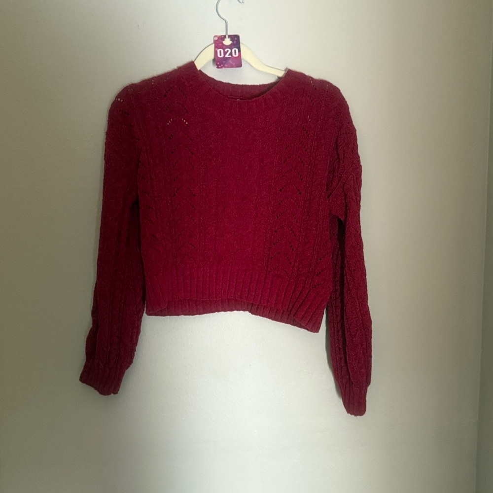 Hippie Rose Red Crop Top